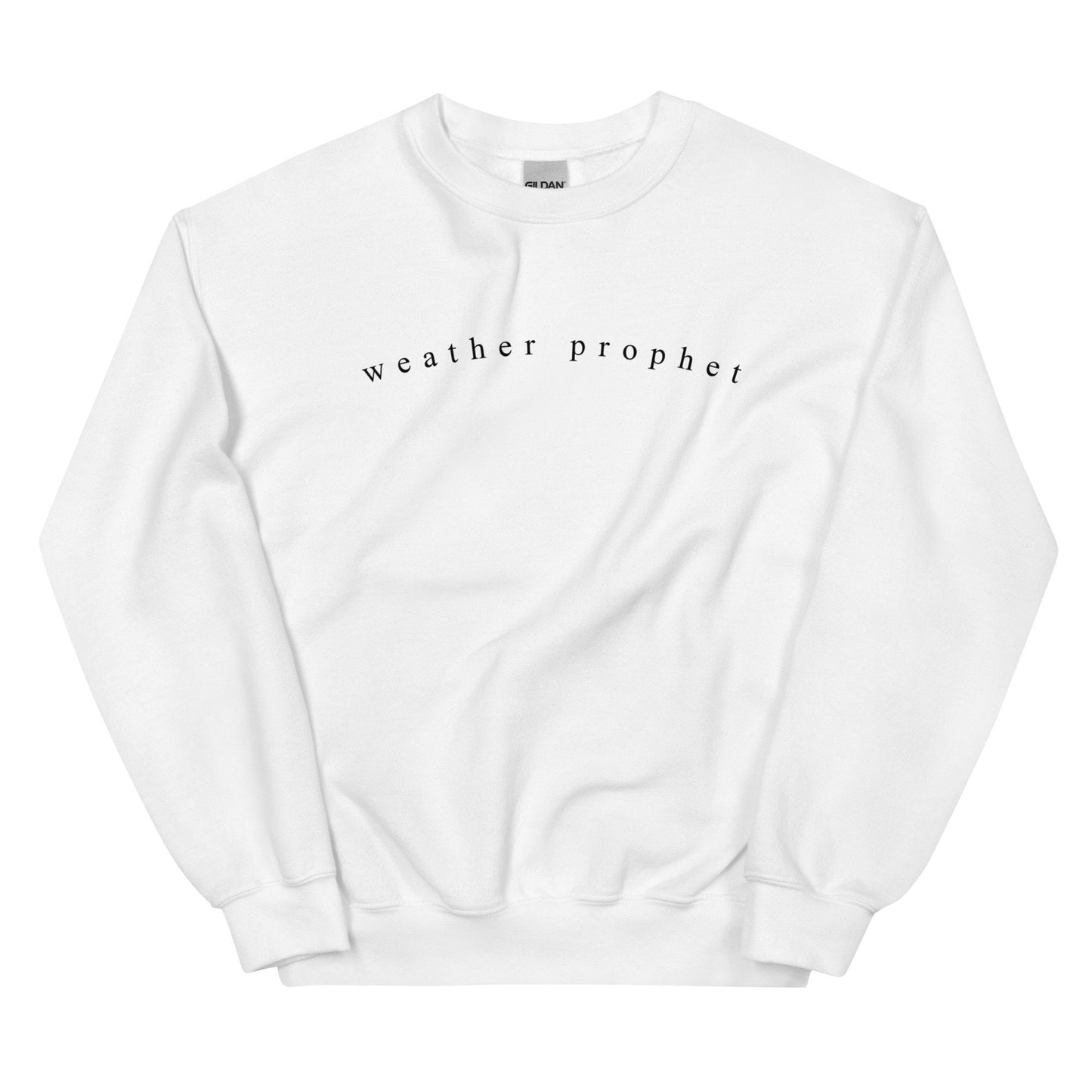 Weather Prophet | Meteorologist | Unisex Crewneck | Women's Clothing Sweatshirt