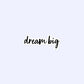 Dream Big Stickers, Dreamer, Motivational, Optimism, Positivity Bubble-Free Stickers